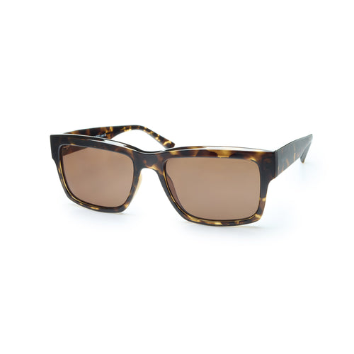Jenning Sunglasses - Tortoise/Brown