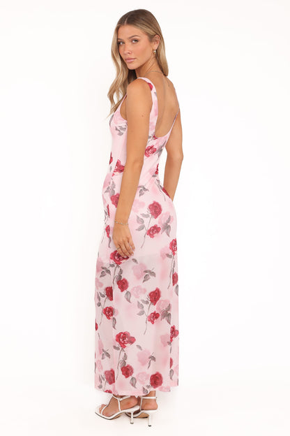 Brissa Maxi Dress - Pink Floral